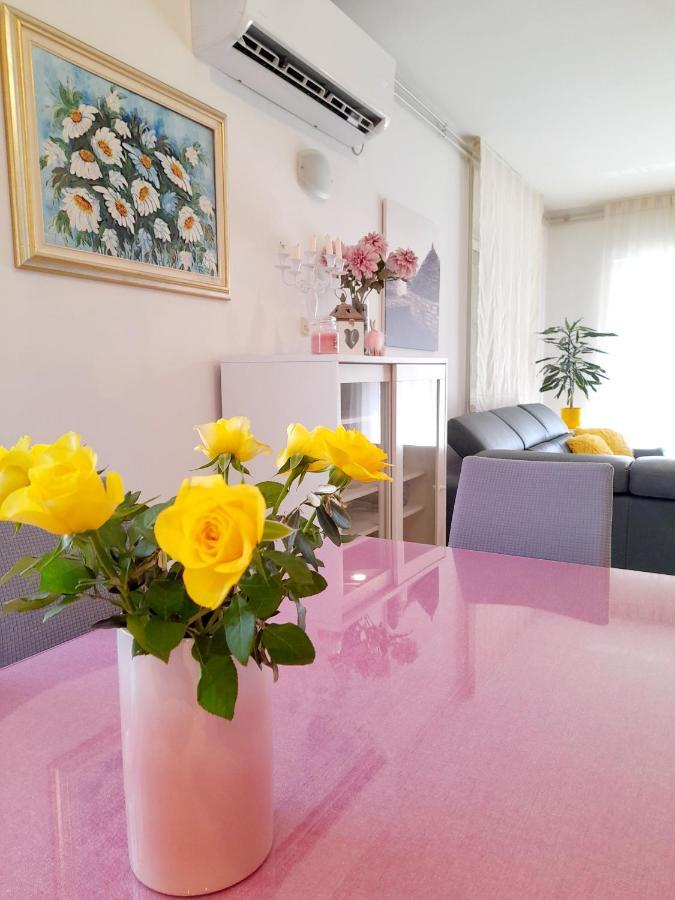 Apartment Ema 자다르 외부 사진